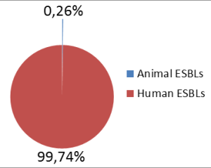 Fig. 1. Comparison of human and animal ESBLs associated with blood infections in man