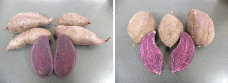 Fig1-Potato-Kubow