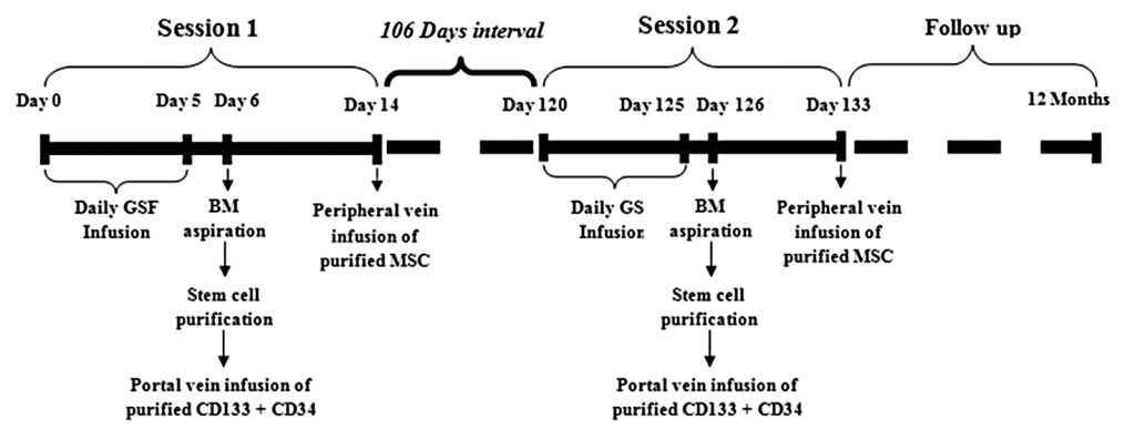 Fig. 1. Stem cell treatment schedule of patients who received two sessions. BM bone marrow, G-CSF, MSC mesenchymal stem cell