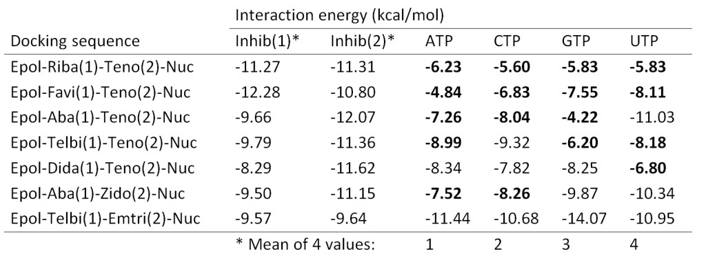 Total interaction energy values of natural nucleotides in complex with ebolavirus polymerase carrying two different nucleotide analogues. Numbers in bold indicate interaction energy values of nucleotides more than 1 kcal/mol lower than those of the inhibitors.