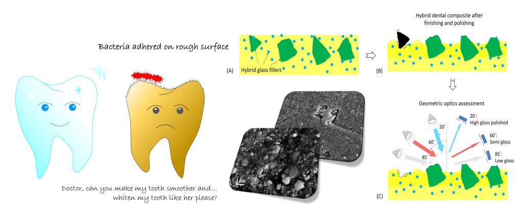 Illustration of polished surface of hybrid dental composite