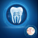 European Forum on Dentistry and Dental Materials
