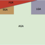 sentation of the possible overlap between FGR and SGA and between AGA and LGA