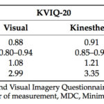 Internal consistency of the KVIQ-20/KVIQ-10