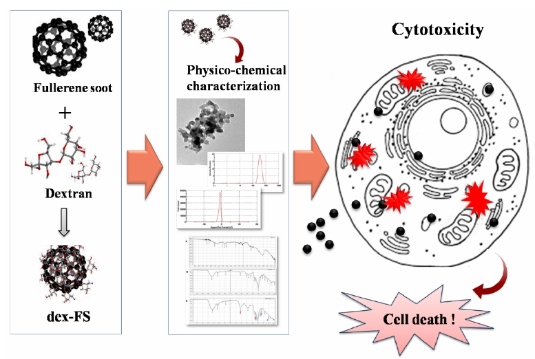 Atlas of Science. Fullerene soot nanoparticles impose threat to glial cell community.