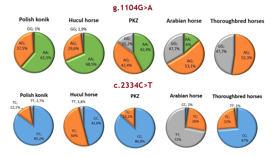 Atlas of Science. Is the ACTN3 gene a real “speed gene” in horses