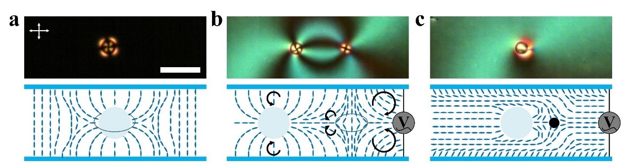 Atlas of Science. Cosmology in a cell: Defect annihilation in liquid crystals