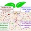 AoS. Microbial community assembly and the microbiome revolution